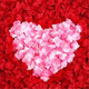 Kuayuan wedding supplies, wedding room decoration and layout, simulated fake petals, wedding layout, hand-thrown simulated rose petals, rose petals (120 pieces)