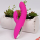SVAKOM double-headed vibrator Delia charging heating heated waterproof women masturbation device adult products sex toys