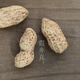 Tao Yunshang Yixing Zisha Tea Pet Simulated Peanut Melon Seeds Fun Tea Play Boutique Handmade Tea Table Tea Play Tea Ceremony Accessories 5 Zisha Peanuts