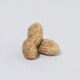 Tao Yunshang Yixing Zisha Tea Pet Simulated Peanut Melon Seeds Fun Tea Play Boutique Handmade Tea Table Tea Play Tea Ceremony Accessories 5 Zisha Peanuts