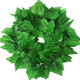Zhengba Fake flower rattan simulated grape leaves decorative rattan leaves green plants wall-mounted pipes to cover the roof ceiling vines 12 packs of 81 green ivy leaves