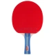 Pisces table tennis racket pen-and-hold horizontal shot double-shooting set entertainment type 2 packs