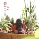 Tao Yunshang's cute little monk tea pet ornaments, purple clay little novices can raise handmade tea toys, tea sets, tea table ornaments, flower pot ornaments, joyful big-bellied Maitreya Buddha