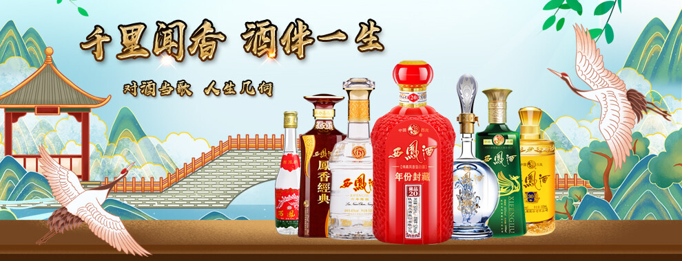 西凤酒凤香型白酒2018年45度星空375ml6瓶