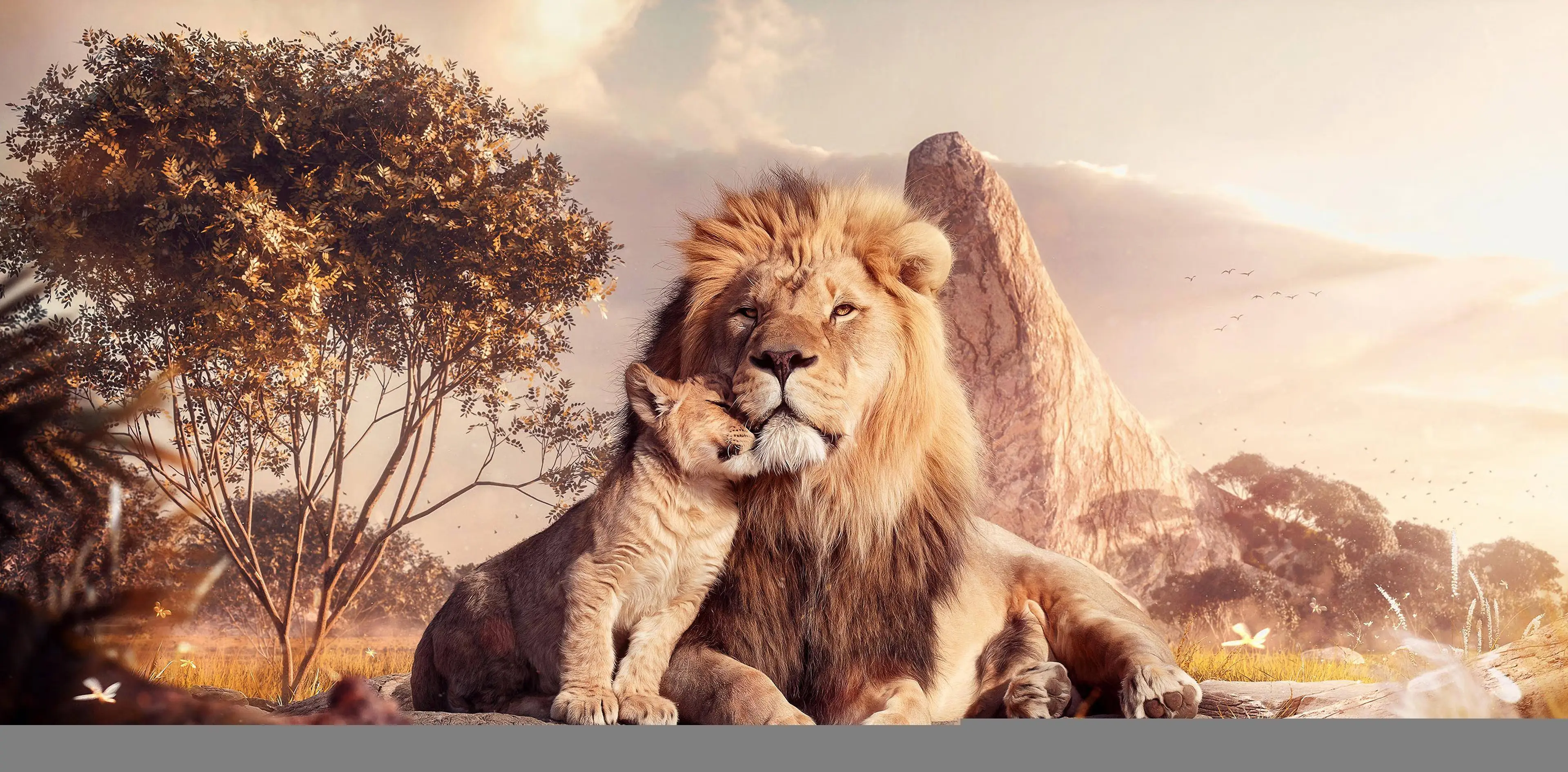 电影《狮子王》：天生为王的故事，宣传了宿命论