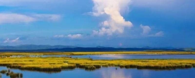 花湖海拔高度是多少米（花湖风景区海拔多少米）