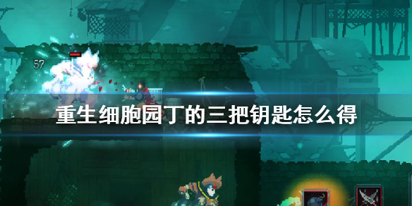 重生细胞园丁钥匙在哪里