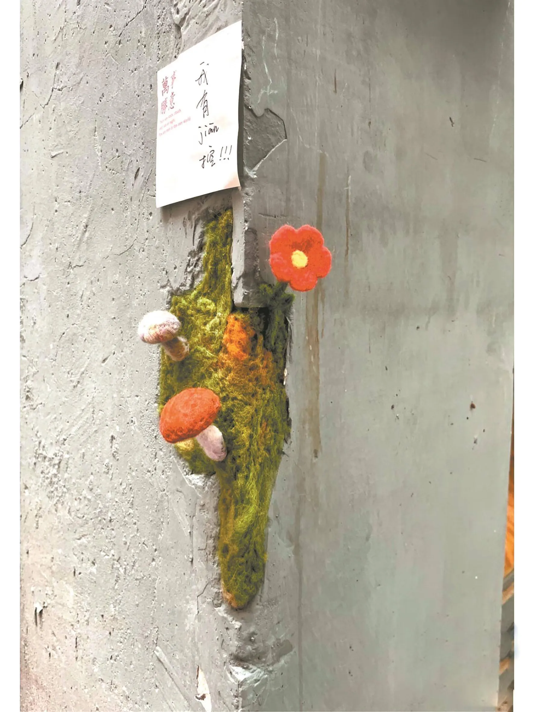 广州小伙用羊毛毡在城市裂缝“种花” 吸引全国各地数十名同好者加入
