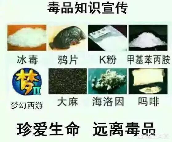 梦幻西游dt怎么加点