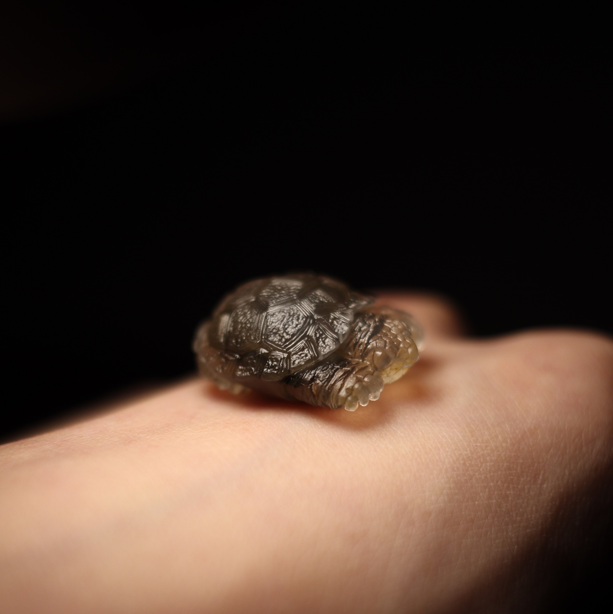 阿拉善玛瑙黑糖心料包心糖心长寿龟乌龟.