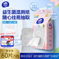 维达（Vinda）益生菌湿厕纸 60片*5包 悬挂式 女性经期温和私处清洁洁厕湿纸巾