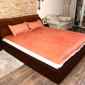 塔山头层水牛皮彩绘席