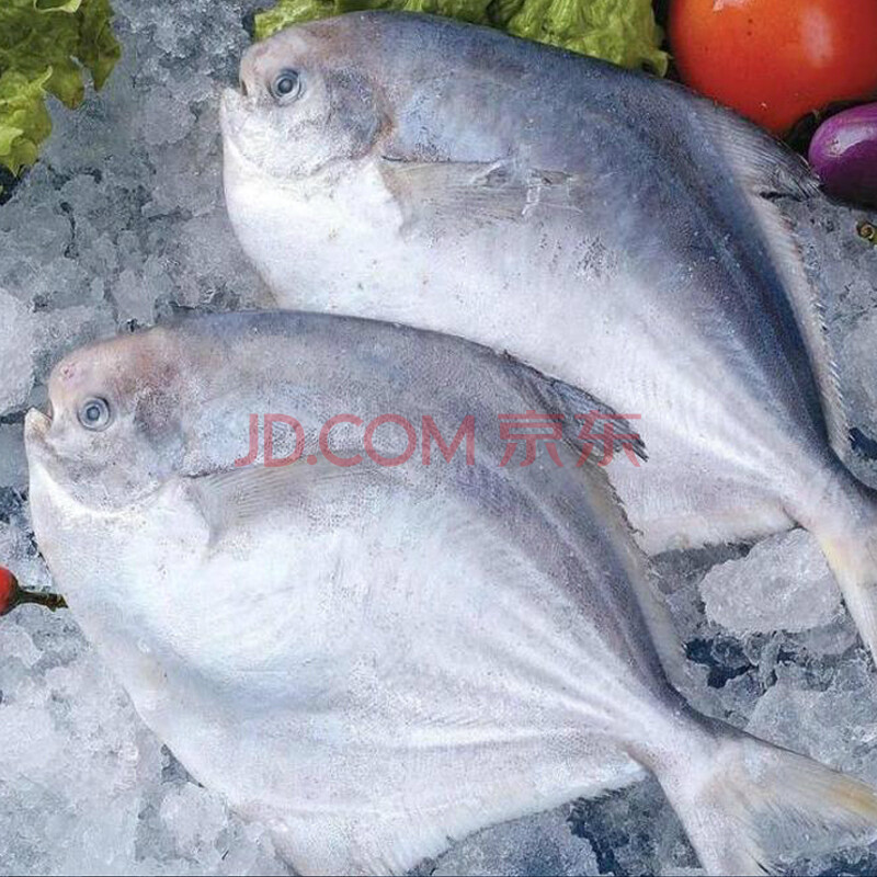 聚鲜品 冰鲜舟山平鱼150g