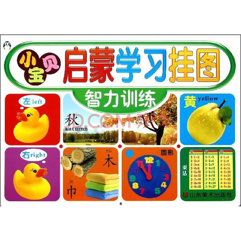 智力训练小宝贝启蒙学习挂图