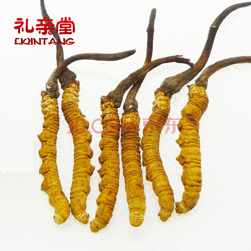 礼亲堂冬虫夏草虫草 5克/盒(2条/克)