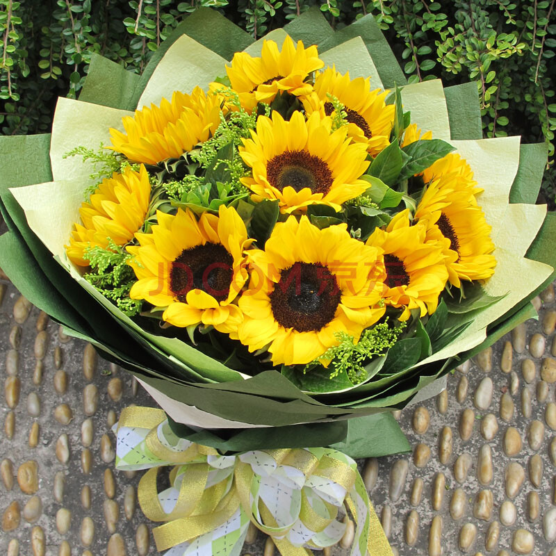 维纳斯鲜花速递 向日葵花束 鲜花快递 生日礼物 11朵向日葵二
