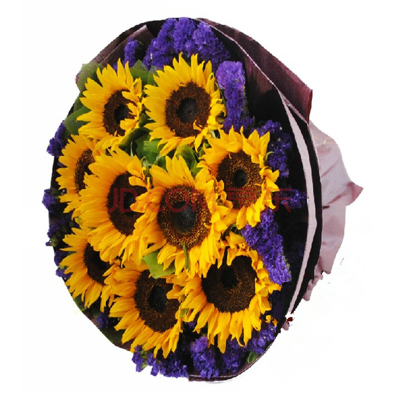 鲜花 向日葵9朵