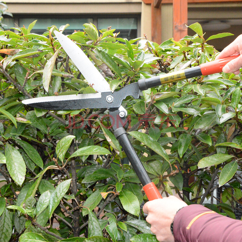 斯特克园艺工具 草坪大剪刀 绿篱剪树枝修枝剪 修草剪草坪剪
