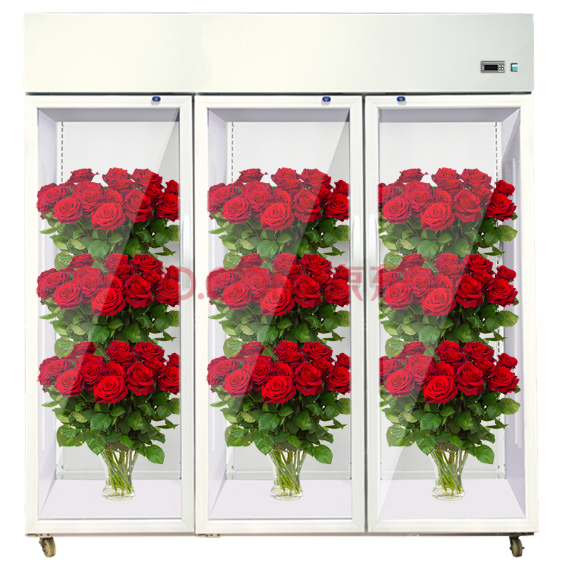 坤创 鲜花保鲜柜鲜花柜冷藏柜风冷立式冰箱展示柜 白色三门上压机直冷