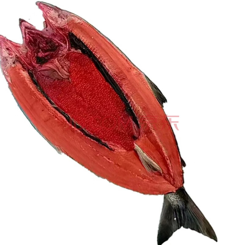 大马哈鱼 黑龙江抚远野生大马哈鱼 新鲜速冻带籽母鱼整条 3kg