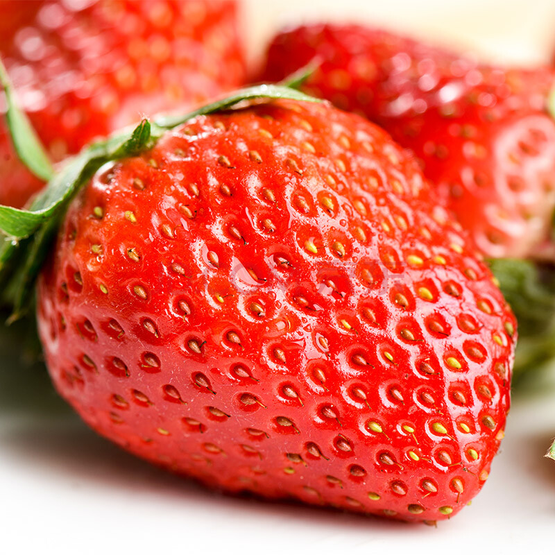 新鲜奶油草莓1斤当季水果牛奶草莓红颜草莓大草莓 500g