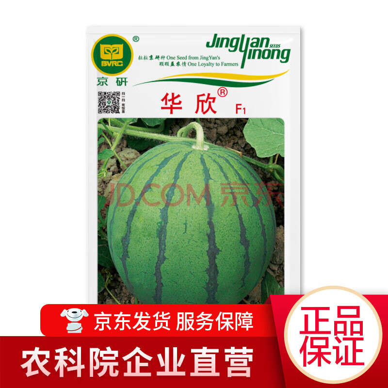 北京农科院京研蔬菜种子甜瓜辣椒黄瓜羊角蜜豇豆角娃娃菜快菜白菜油菜