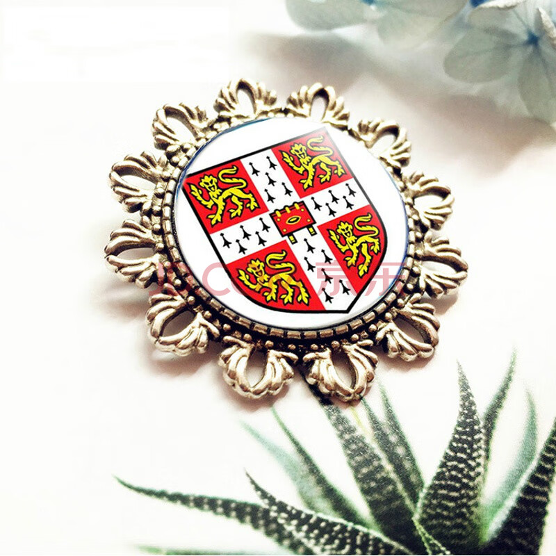 男女士学生徽章胸针 小学中学大学校徽胸章 清华北大剑桥纪念品高考