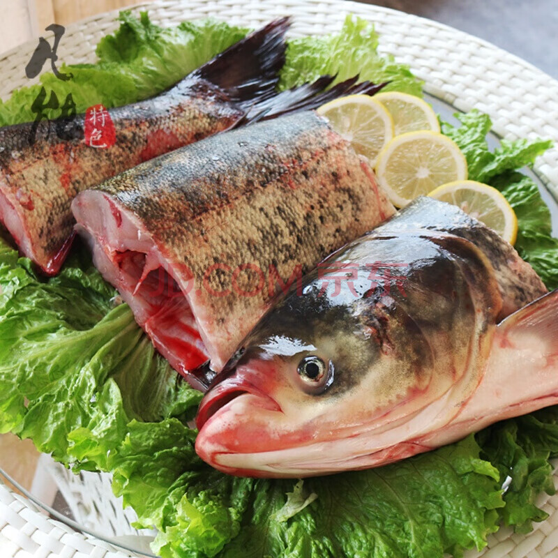 查干湖冬鱼胖头鱼鲤鱼草鱼冬捕鱼野生鱼20斤一条礼盒