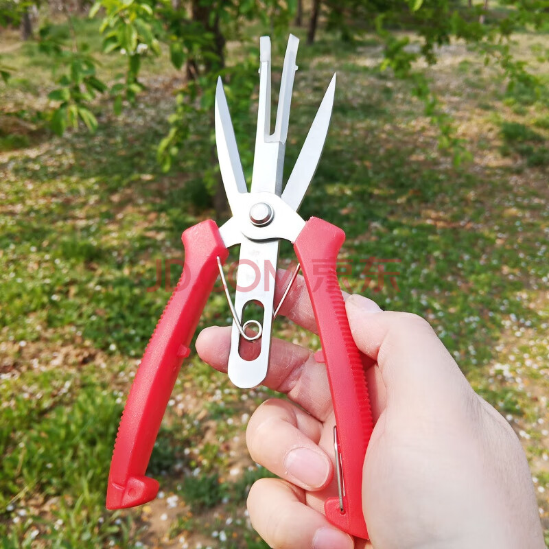 果花香蔬花蔬果双口剪刀苹果梨蔬果剪稀果剪易速园林农用工具 双口稀