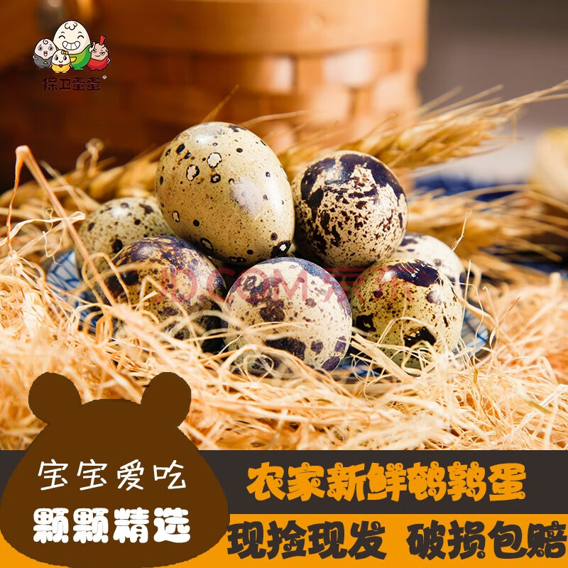 鹌鹑蛋新鲜 火锅食材 营养辅食 宝宝蛋 保卫蛋蛋 120枚京东/顺丰快递