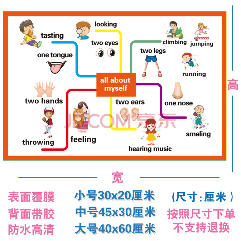 英語思維導圖海報英語啟蒙教具教室裝飾貼紙英文牆貼單詞貼圖佈置 w4