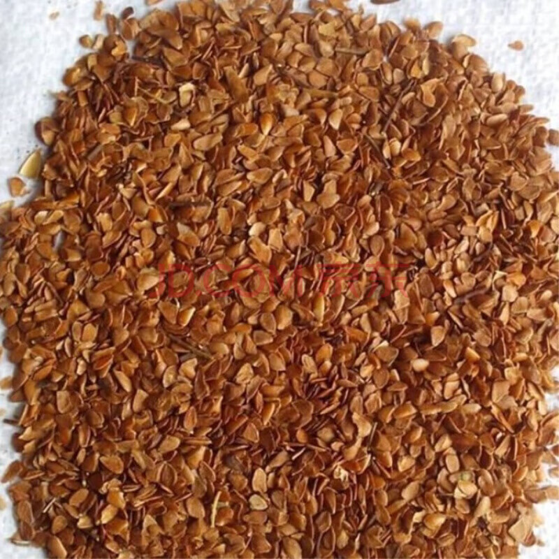 香椿种子香椿芽苗菜种子红椿树 香椿芽种子香椿苗种子红油香椿树