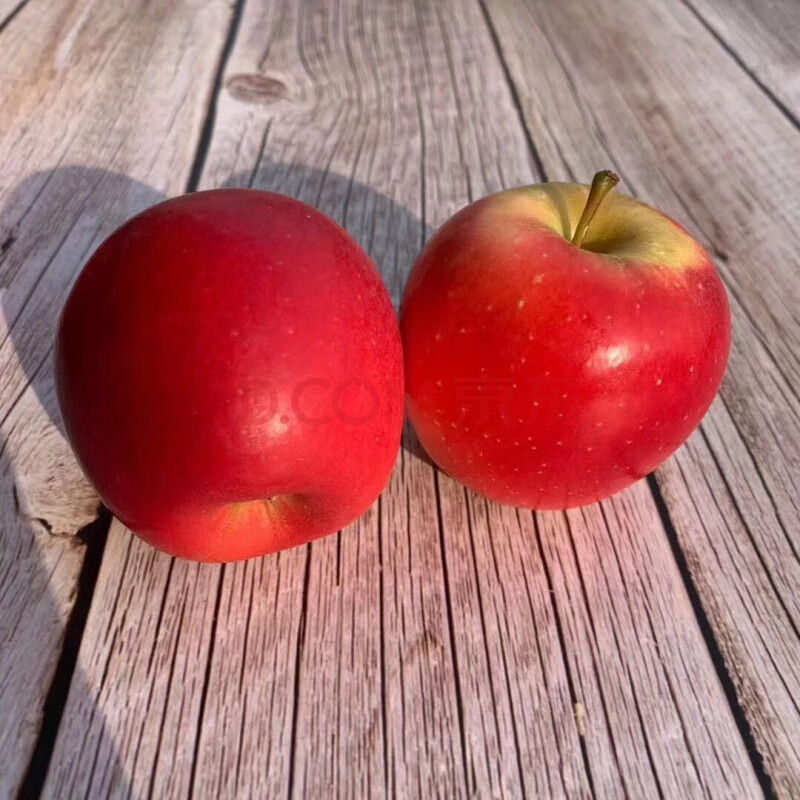 火箭筒小苹果试管苹果新鲜樱桃小苹果2简10个 京东生鲜 700g 60mm以下