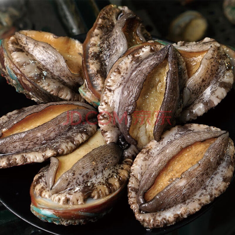 新鲜大鲍鱼鲜活鲍鱼大鲍鱼连云港特产水产贝类 22-30头 2斤实惠装