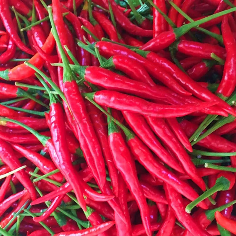 农家自种新鲜辣椒5斤小米椒小米辣特辣 干辣椒中辣1斤装