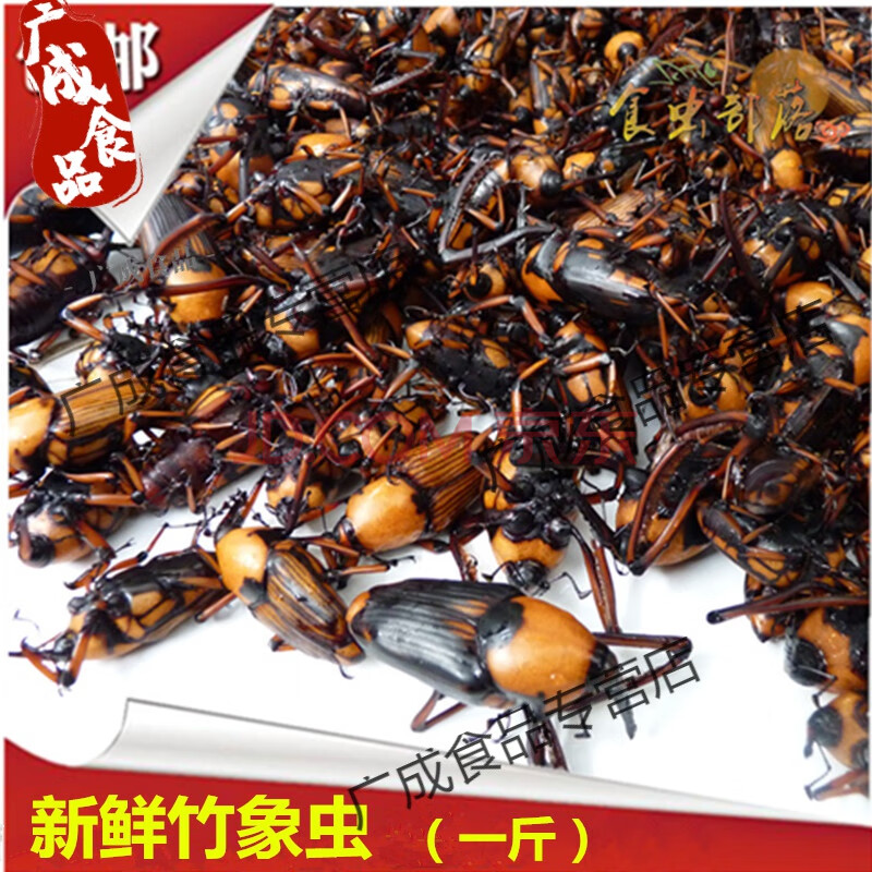 竹象虫 笋子虫笋苞竹虫竹蛹竹蜂竹蛆鲜活生鲜冷冻运输一斤 默认