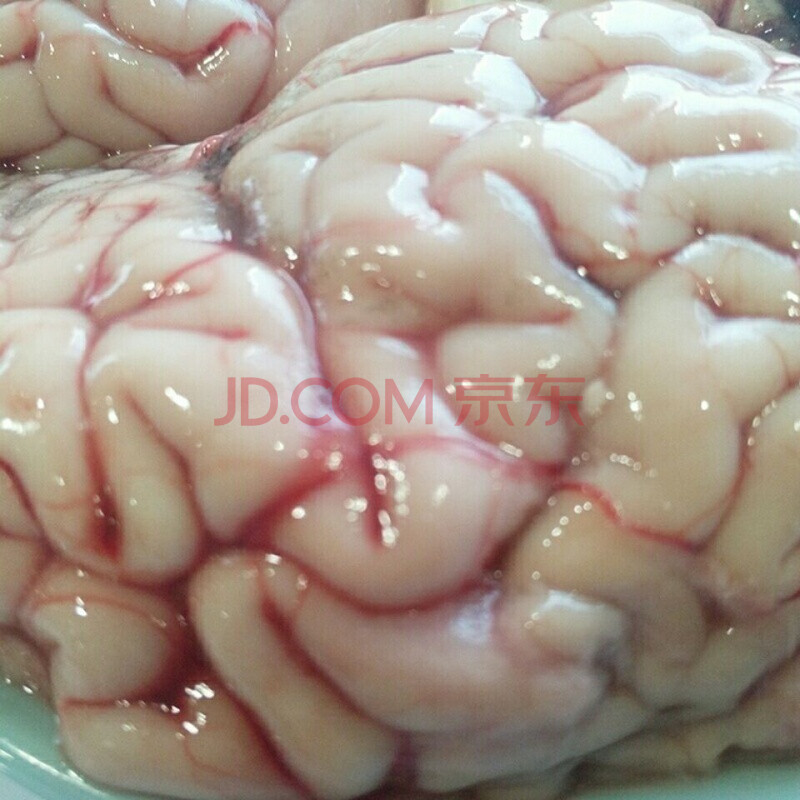 新鲜牛脑 牛脑髓 牛脑子牛脑花 火锅烧烤食材 五个