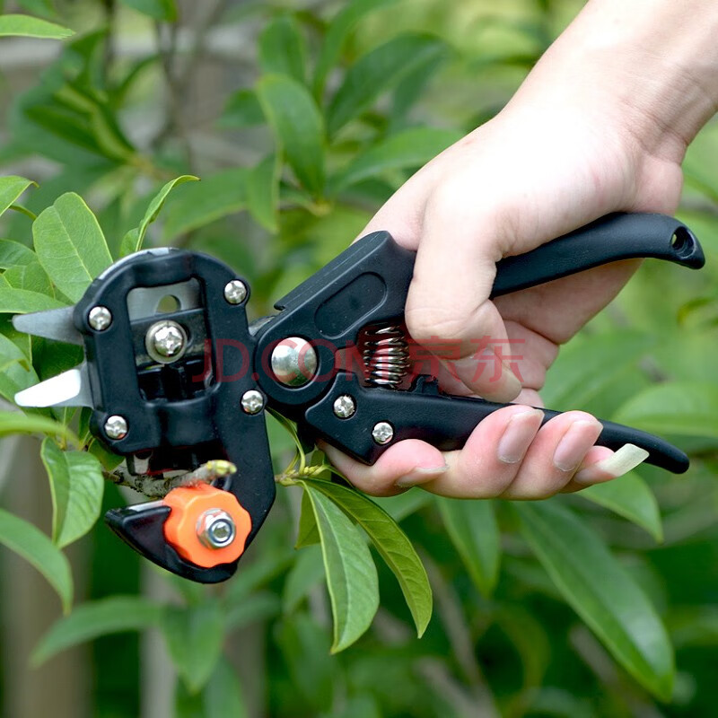 雷臣 嫁接机嫁接刀嫁接工具果树嫁接器接剪芽接刀修枝剪 修枝嫁接剪一