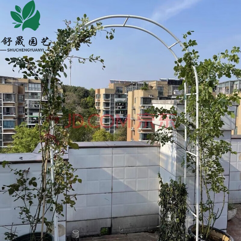 拱门花架蔷薇爬藤架葡萄架丝瓜铁线莲月季花架户外庭院花支架白色侧宽
