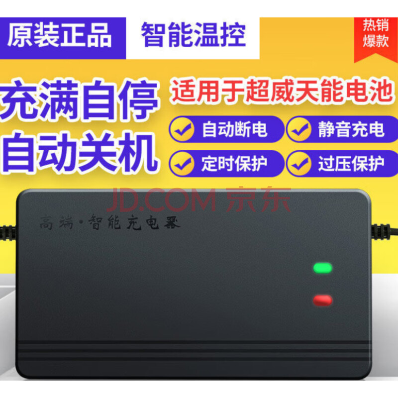 【自動斷電】電動車電瓶車兩三輪車充電器60v48v72v超威天能通用 64v2