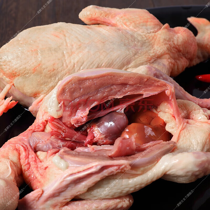 棠鲜生 新鲜土鸽子3/6只肉烤乳鸽农家散养土鸽子汤活体现杀生鲜肉鸽 3