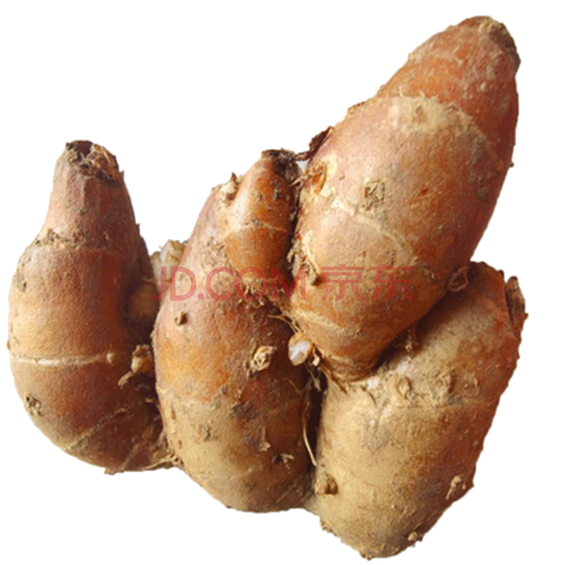 广东新鲜沙姜山奈三赖鸡白切鸡猪脚配料 500g