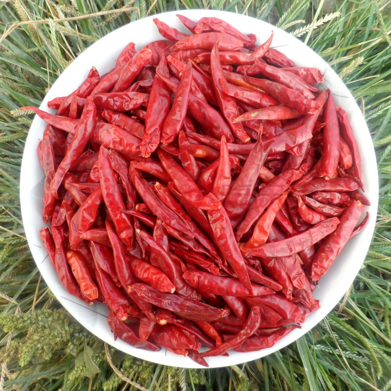 河南红太阳辣椒粉面段丝朝天椒安徽牛肉板面专用辣椒500g