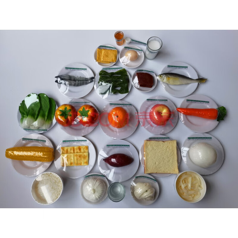 【优选好物】膳食模型中国居民膳食宝塔营养食物交换份模型平衡金字塔