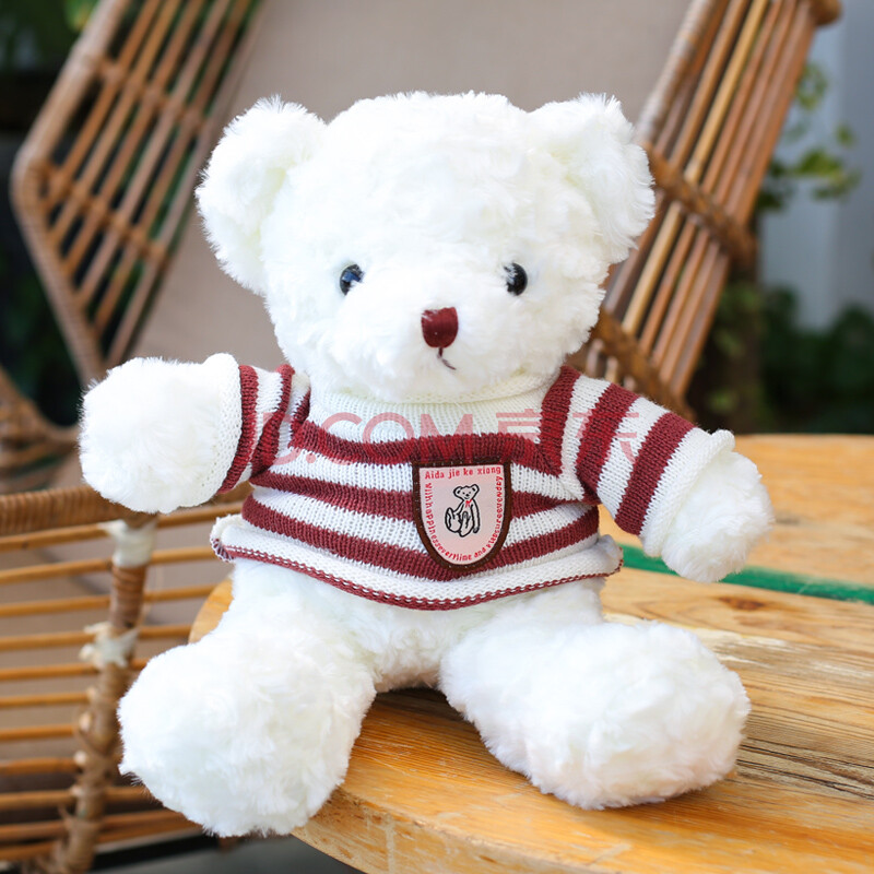 熊熊猫小熊公仔布娃娃毛绒玩具小号送女友生日礼物女生 白色学院熊 40