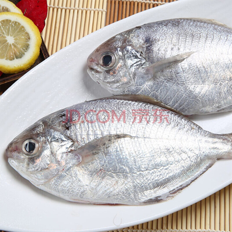 【汕尾市城区】老德头 深海一夜埕南鲳鱼套餐,南鲳鱼*2斤