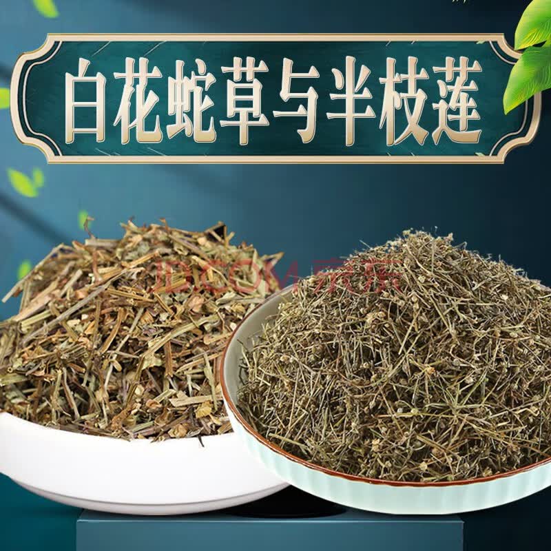 叶新货组合泡水可搭配同仁堂崂山白花蛇舌草中药颗粒泡水半支连干货