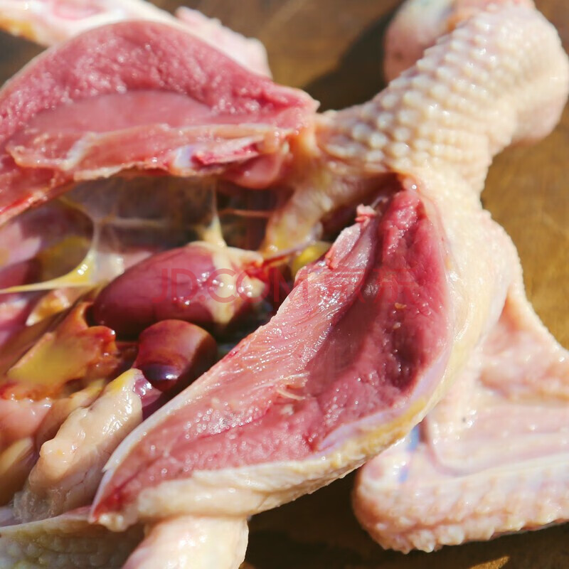 棠鲜生 新鲜土鸽子烤乳鸽农家土鸽子现杀鸽子肉生鲜 1只