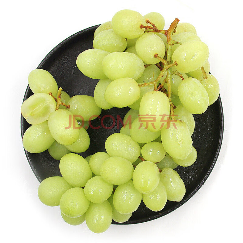 智利进口无籽青提 净重1.6kg 新鲜葡萄提子 生鲜水果