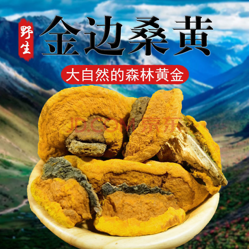 竺芝堂 桑树桑黄特级纯正西藏金边桑黄100克孔菌灵芝正宗 野生西藏